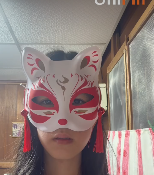 Masked-gamer persona frame